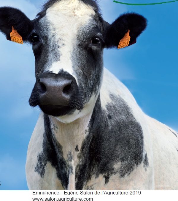 Grand jeu ce samedi: Ouverture Salon de l’Agriculture !
