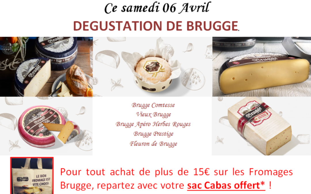 Dégustation de fromages Brugge
