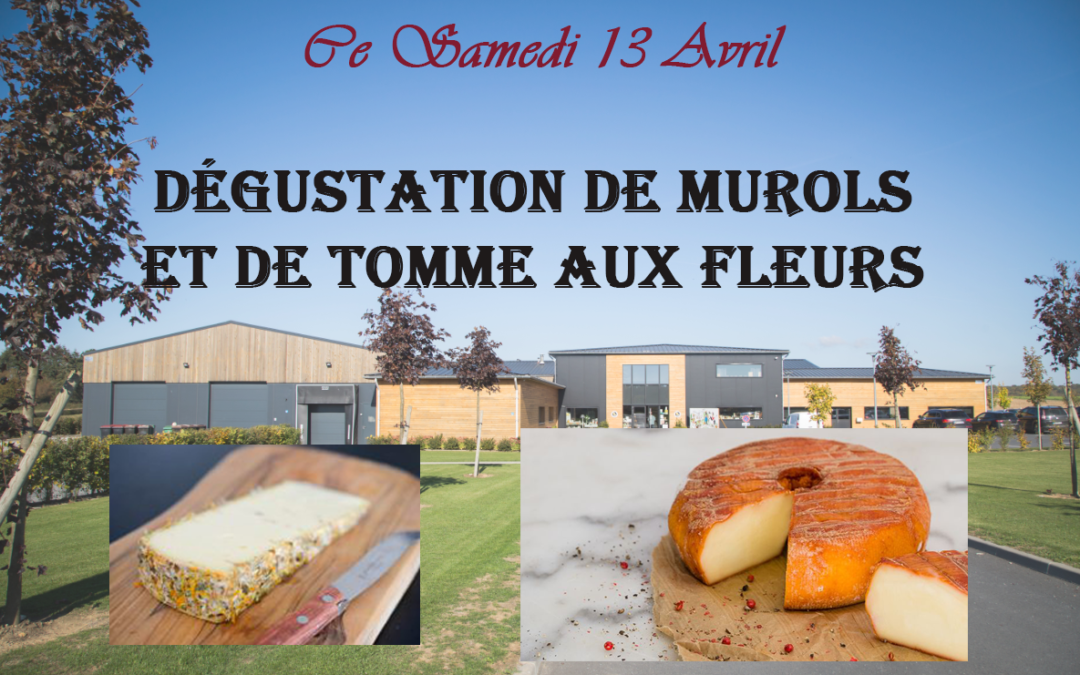 Dégustation de fromages !