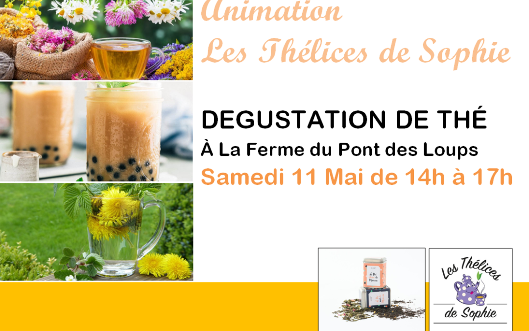 Animation les Thélices de Sophie