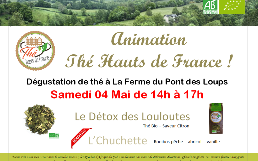 Animation Thé Hauts de France
