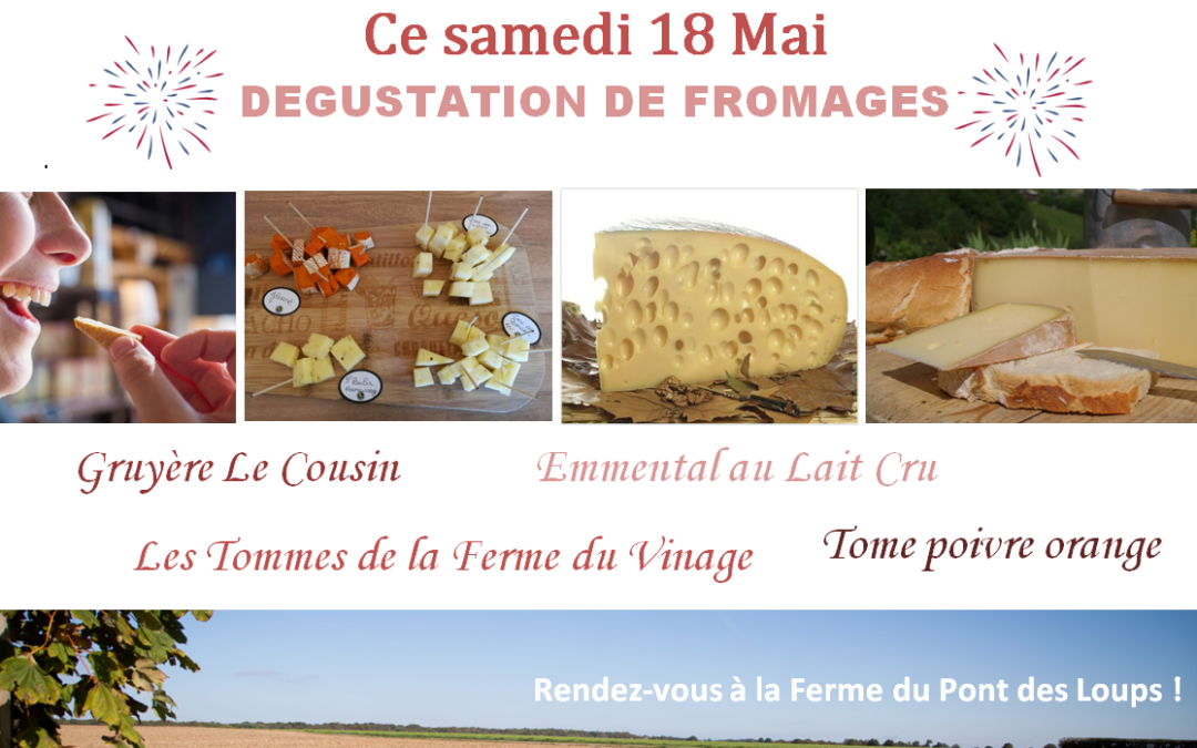 Dégustation de Fromages