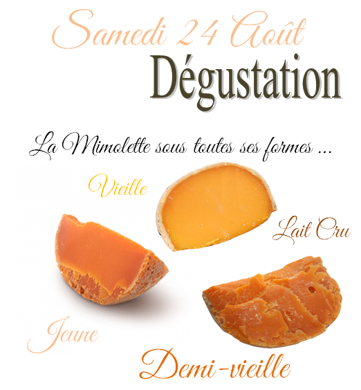 Dégustation de Mimolette