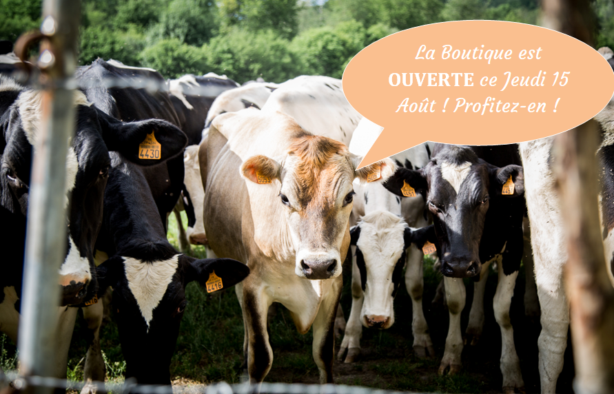 Ouverture exceptionnelle ce jeudi !