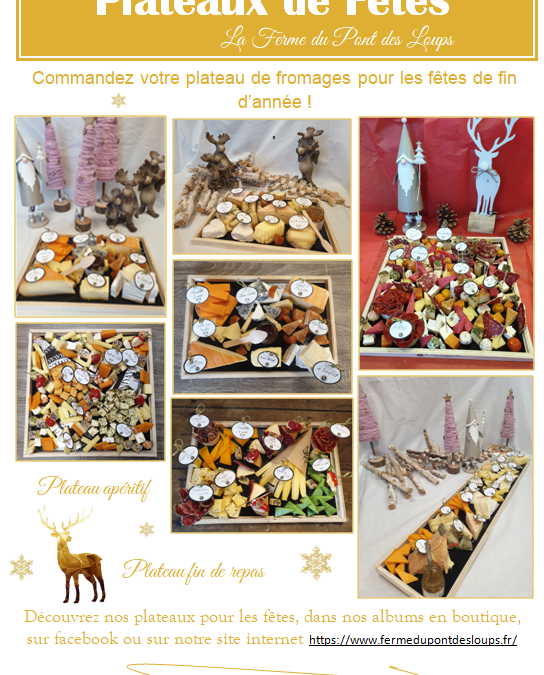Nos plateaux de Fêtes